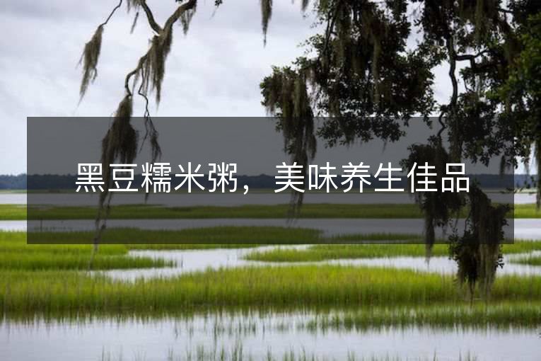 黑豆糯米粥,美味养生佳品 黑豆糯米粥,美味养生佳品