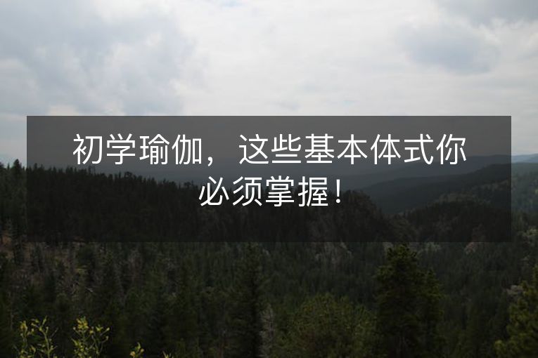初学瑜伽,这些基本体式你必须掌握! 初学瑜伽,这些基本体式你必须掌握!
